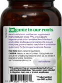 Oregon's Wild Harvest Certified Organic Nettle Capsules with Stinging Hairs Allergy Supplement 600 mg 90 Capsules