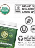 Sunwarrior Organic Ormus Supergreens Natural