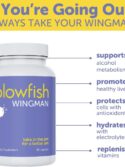 Blowfish Wingman | Feel Better After Drinking