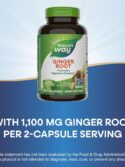 Nature's Way Ginger Root 240