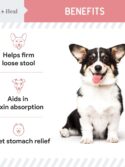 Chew + Heal Labs Anti Diarrhea for Dogs