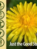 Nature's Answer Alcohol Free Dandelion Root