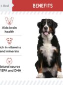 Chew + Heal Labs Dog Salmon Jerky Treats with Cognitive Support