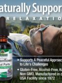 Nature's Answer Passion Flower Liquid Herbal Tincture Supplement Drops