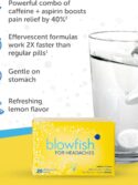 Blowfish for Headaches Maximum Strength Effervescent Formula