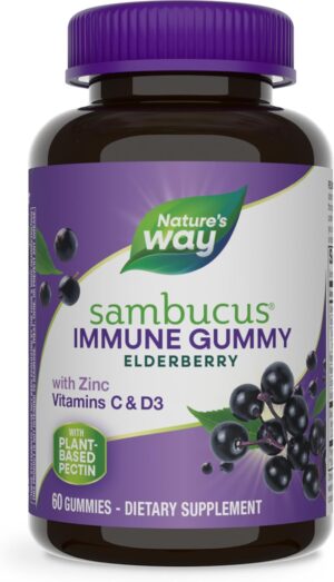 Nature’s Way Sambucus Elderberry Immune Gummies