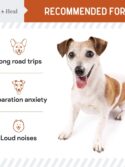 Chew + Heal Calming Chews for Dogs - 60 Anxiety Relief Treats