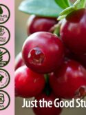 Nature's Answer Alcohol-Free Cranberry Extract