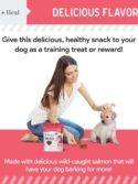 Chew + Heal Dog Salmon Jerky for Puppies