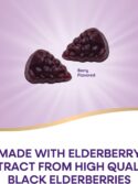 Nature’s Way Sambucus Elderberry Immune Gummies