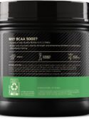 Optimum Nutrition Instantized BCAA Powder