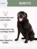 Chew + Heal All in 1 Dog Multi Vitamin