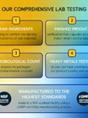 BioEmblem Turmeric Curcumin with Clinically Studied TurmiPure