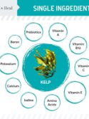 Chew + Heal Kelp Supplement for Dogs