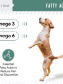 Chew + Heal Glucosamine for Dogs Hip and Joint Supplement