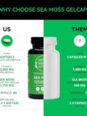 Happy Healthy Hippie Sea Moss Gel Capsules