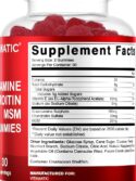 Vitamatic Glucosamine Chondroitin Gummies with MSM & Vitamin E