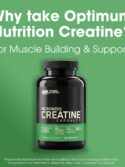 Optimum Nutrition Micronized Creatine Monohydrate Capsules