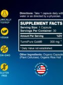 BioEmblem Turmeric Curcumin with Clinically Studied TurmiPure