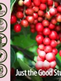 Nature's Answer Schisandra Berry Extract