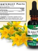 Nature's Answer St. John's Wort Alcohol-Free Liquid Extract