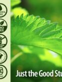 Nature's Answer Nettle Extract