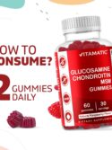 Vitamatic Glucosamine Chondroitin Gummies with MSM & Vitamin E