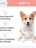 Chew + Heal Wild Alaskan Salmon Fish Oil for Dogs