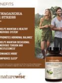 NatureWise Ashwagandha for Stress