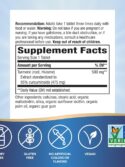 Nature's Way Turmeric Premium Extract 120