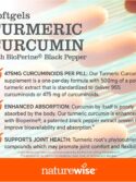 NatureWise Curcumin Turmeric 500mg Per Pill