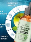 3000mg Irish Sea Moss Drops with Burdock Root & Bladderwrack