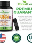 Forest Leaf - DHEA 100mg Daily Hormone Supplement