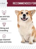 Chew + Heal Chewable Flea and Tick Prevention for Dogs