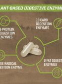 Sunwarrior Digestive Enzymes Probiotic