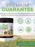 ForestLeaf Colostrum Powder