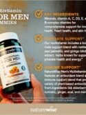 NatureWise Multivitamin for Men