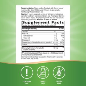 Nature’s Way Chlorofresh Chlorophyll Concentrate - Image 4