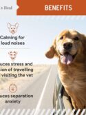 Chew + Heal Calming Chews for Dogs - 60 Anxiety Relief Treats