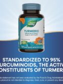 Nature's Way Turmeric Premium Extract 120