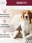 Chew + Heal Chewable Flea and Tick Prevention for Dogs