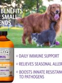 Sovereign Silver Bio-Active Silver Hydrosol Immune Support for Pets