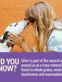 Sovereign Silver Bio-Active Silver Hydrosol Immune Support for Pets