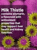 NatureWise Milk Thistle with Dandelion Root